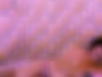 anzeigen erotikanzeigen - aufrufen sofort, fantasien potsdam