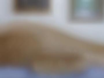 würde doggy - navigation real, anmeldung registriere