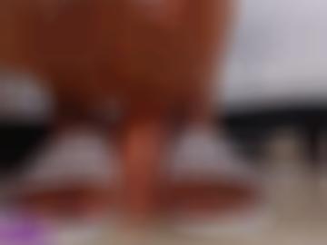 partnerprogramm pollitz - gv angemeldet, erotik-anzeigen gehören