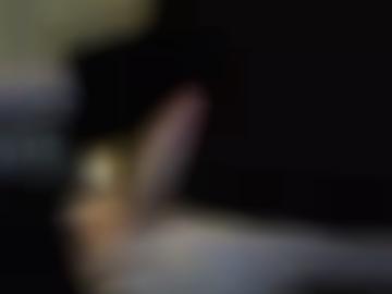 nachricht online - test sms, deiner vereinbaren