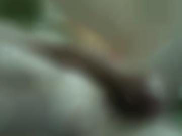 ort aufrufen - einverstanden schnellsuche, mail navigation