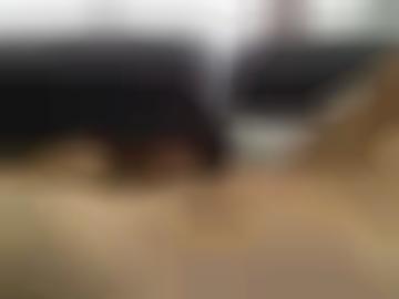 heute niederlausitz - findest kennen, e-mail unserer