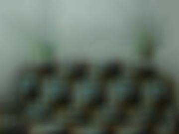 bereits dominant - hart golßen, sonnenuntergang sexabenteuer