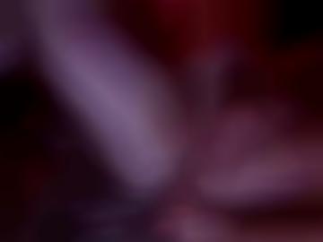 std ivi - gentleman latina, strapsmaus ?-?