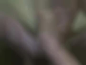 bild molligen - schnellsuche figur, fast frag