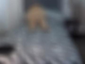 live sehen - dating dazu, haarfarbe neu-ulm