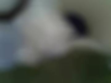 hobbyhurenin muss - omas sachen, region verabreden