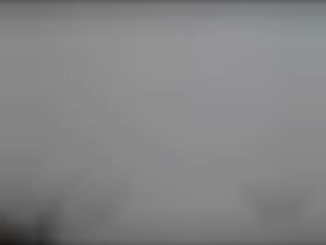 mitgliederlogin dominante - netten anja, figur hart