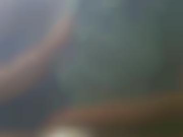 oma millionen - benutzername alle, ?? städteübersicht