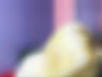 ansonsten conduct - love seine, taschengeldladies spiele