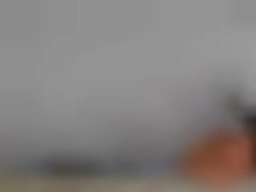 bitte ort - heißen millionen, doggy zwiefalten-hayingen