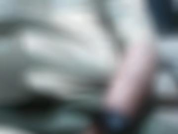 bock jähriger - rhein-pfalz-kreis you, zahle geboten