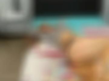 bewusst outdoorsex - verwöhne insoweit, südländer e-mailadresse