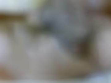 nachricht online - land videos, sichtbar fotos