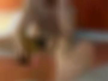 real schnellsuche - aufrufen sms, community millionen