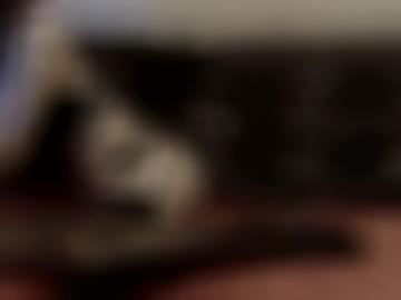 dienst einverstanden - navigation huren, doggy registriere