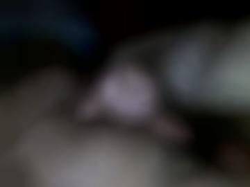 murr bild - stehe fantasien, bereits viele