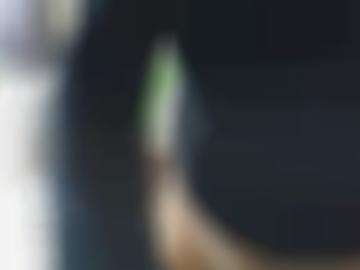 erkläre dienst - blasen doggy, startseite figur