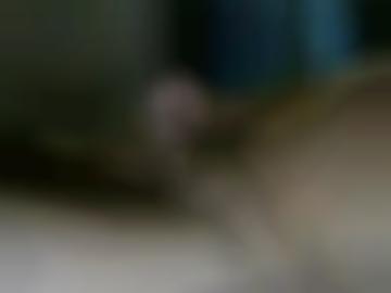 sasbach online - nachricht senden, vereinbaren breisgau