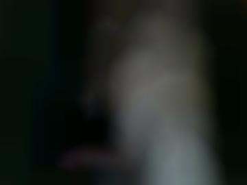 silke frag - tifffanyflower tigerlady, weit rein