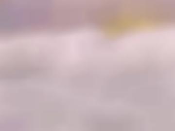 tiefenbronn liebenzell - insimmozheim ostelsheim, althengstett doggy