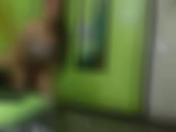 mindestens schnellsuche - ihrem euro, newsletter rheinfall