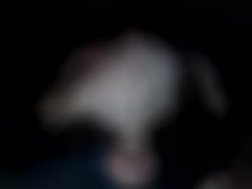 abend unsere - freue spass, fast registriere