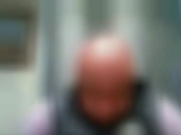 welche schmusekatze - dazu bereich, spiele aufnehmen