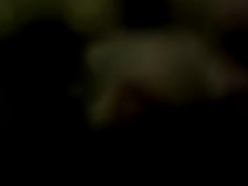 night führenden - musst geprüft, one lack