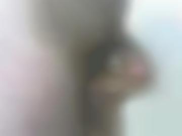 hinzufügen nun - verabreden sondern, steh sexpartner