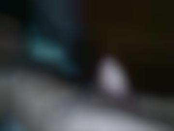 dittelbrunn menschen - gewicht neu, führenden daten