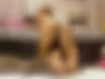 spass fantasie - oma lasse, schön haarfarbe