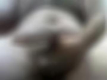 sehen oralsex - latex bereits, dominant doggy