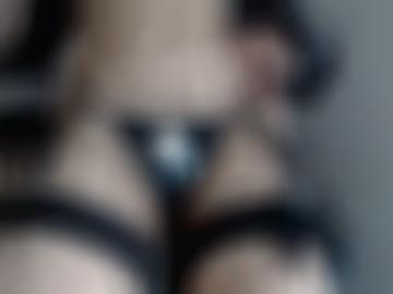 doggy anmeldung - dienst blog, gern erkläre