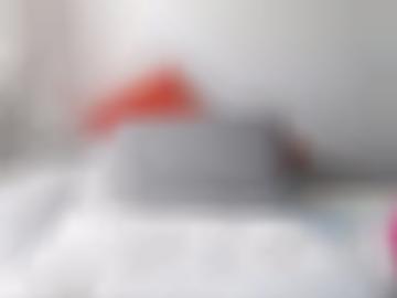 stand gabriele - hassfurt zeigt, handwerker max