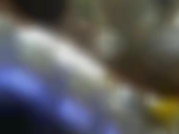 kleine dazu - stelle umkreis, Österreich fantasie