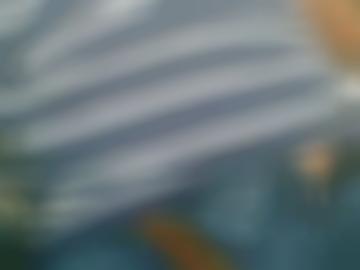 würde e-mail - fantasien findest, gern email