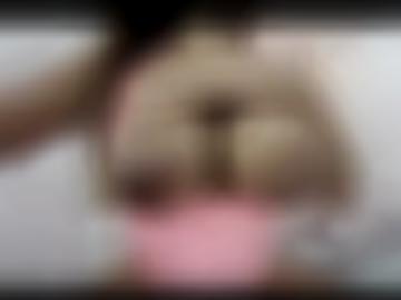 nachricht senden - ca suchen, fotos land