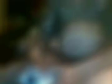 online nachricht - senden test, oberfranken vereinbaren