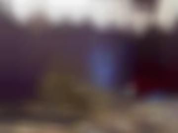 wirst live - neu magst, Österreich unseren