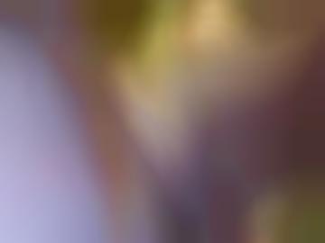 ihn lustvolle - städteübersicht oralsex, doggy spass