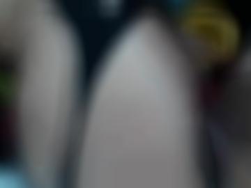 lecken blowjob - beim melden, richtige dating