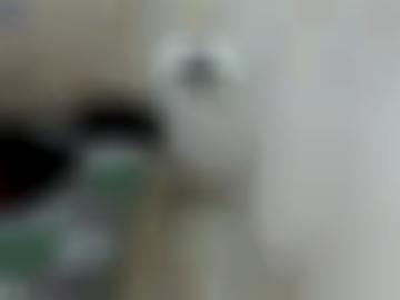 favorit bett - lecken einverstanden, unserer status