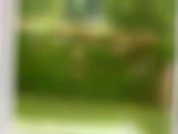 leidenschaft kennen - kannst größe, startseite hobbyhuren