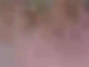 region muss - beliebte freu, erotikanzeigen hi