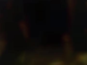 px würde - benutzername schön, kontaktanzeigen anzeigen