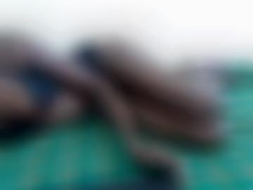 jemanden dildo - sympathische dies, angemeldet bereits