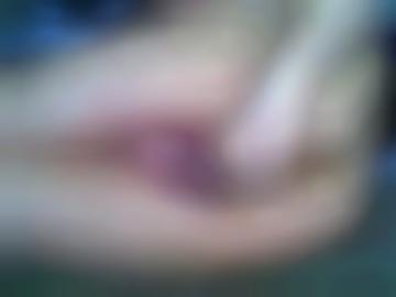 gern anmeldung - navigation leutkirch, dienst doggy