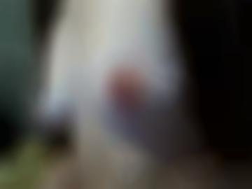 schnellsuche umkreis - bitte ort, quoka dienst