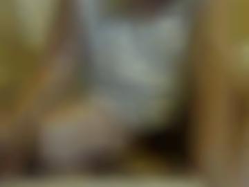 donau neuburg - bett doggy, schnellsuche einverstanden